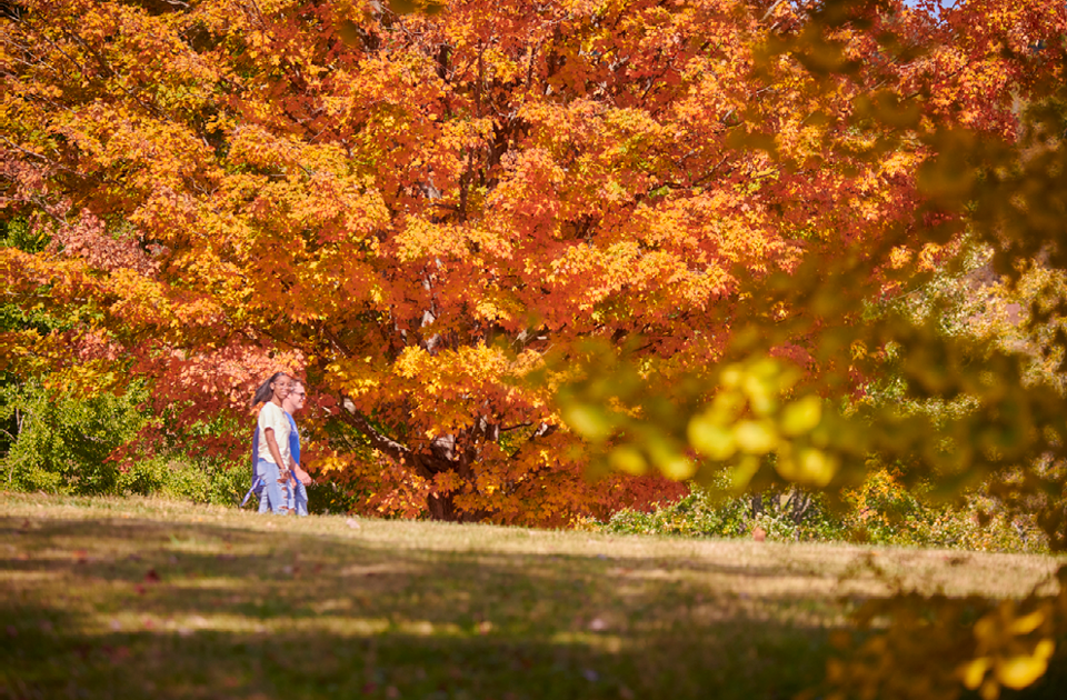 Students walking on campus.