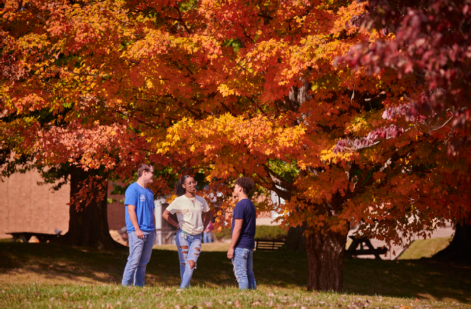 Three students standing near a tree talking.